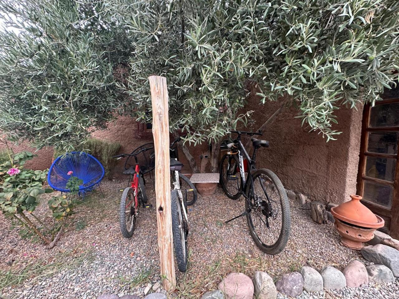 Ferme Tibrijine Chalet Marrakesch
